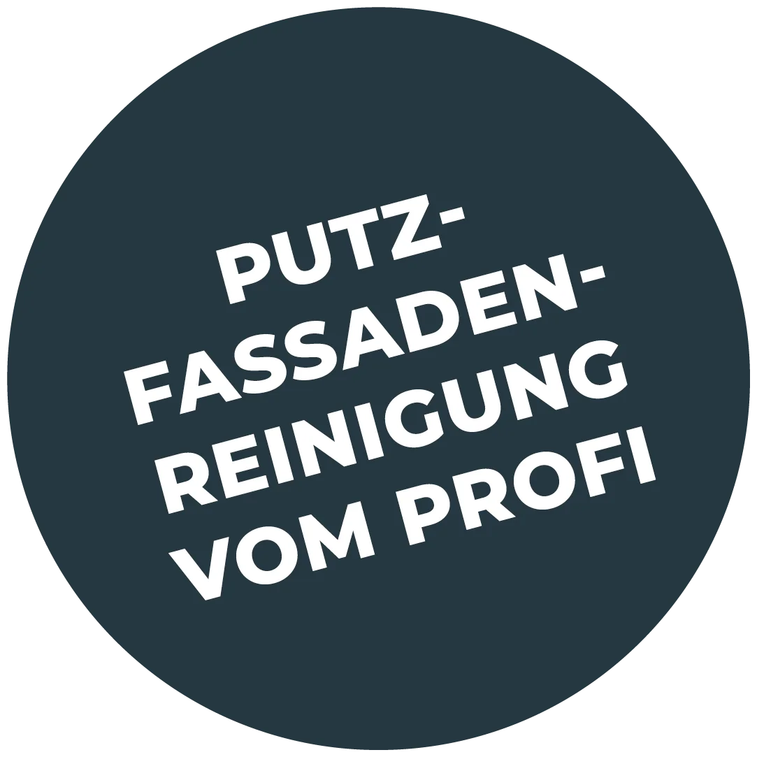 wolfs-putzfassadenreinigung-vom-profi